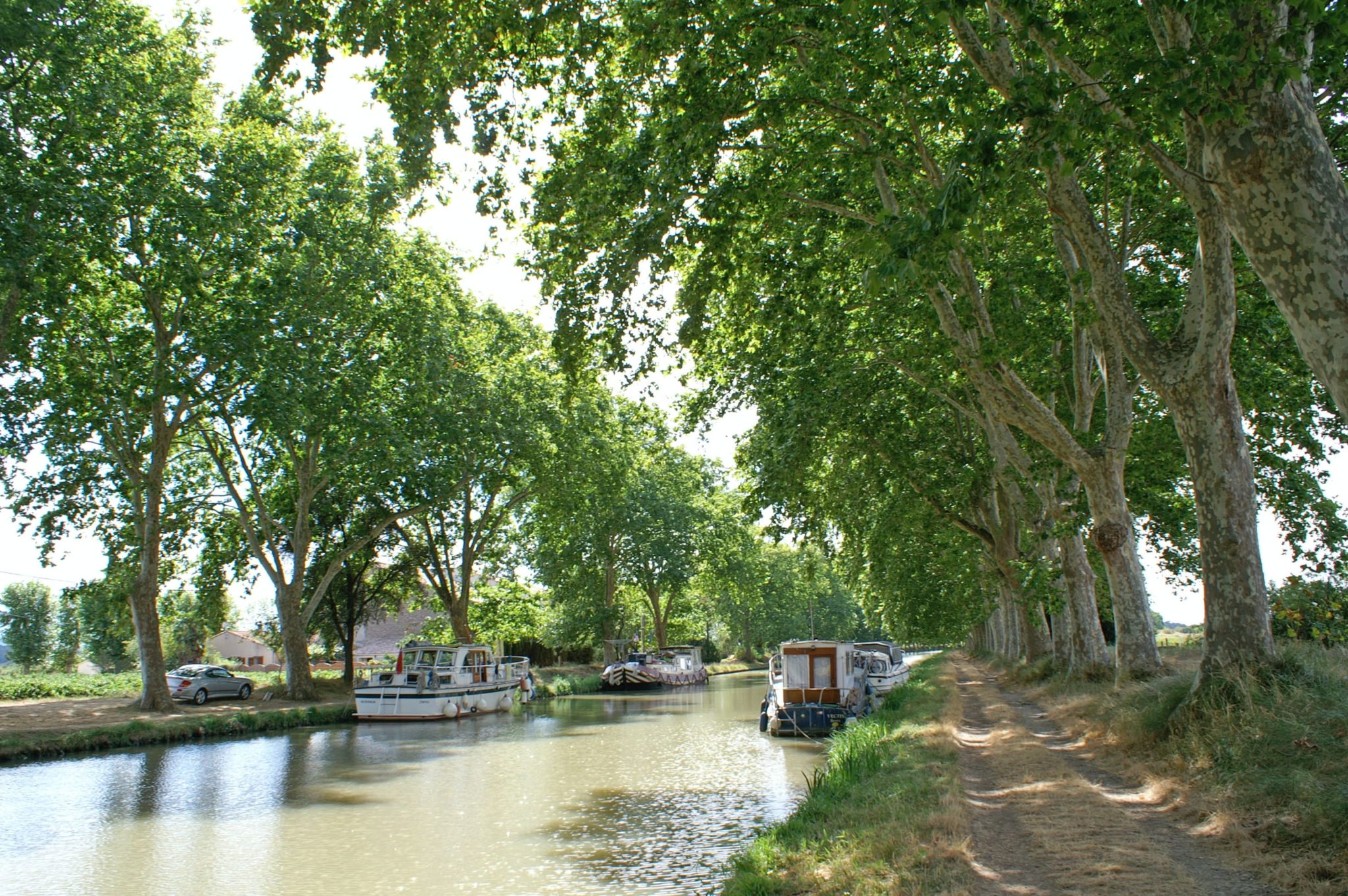 Visite incontouranble dans l'Aude : découvrez le Canal du Midi